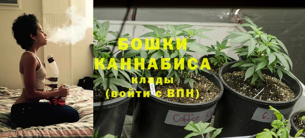 бутират Верея