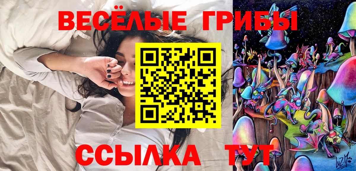 Псилоцибиновые грибы прущие грибы Мончегорск