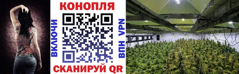 ссылка на мегу   Мончегорск  МАРИХУАНА OG Kush 